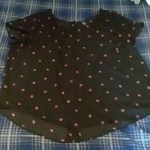 Plus Size Torrid Size 3 Black Ladybug Print Shirt